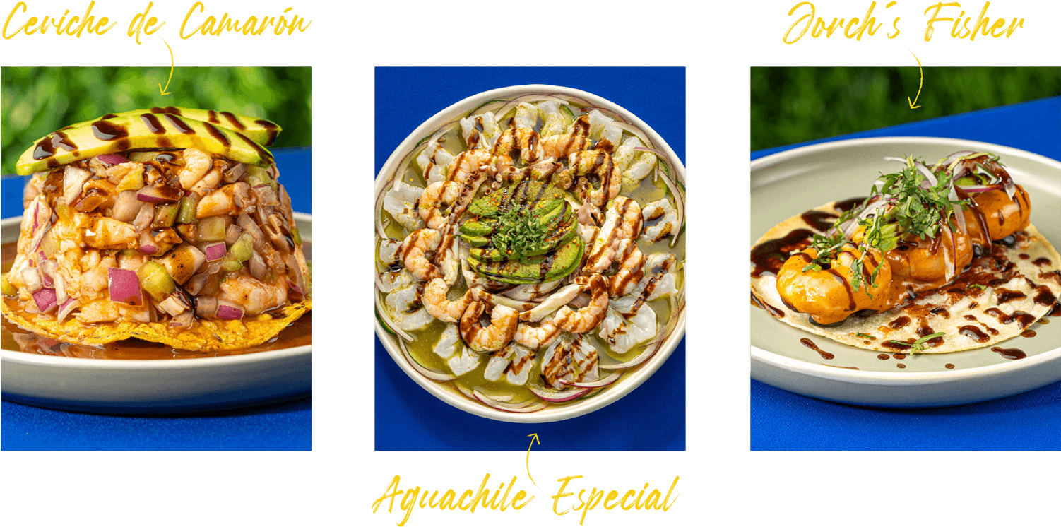 platillos de temporada